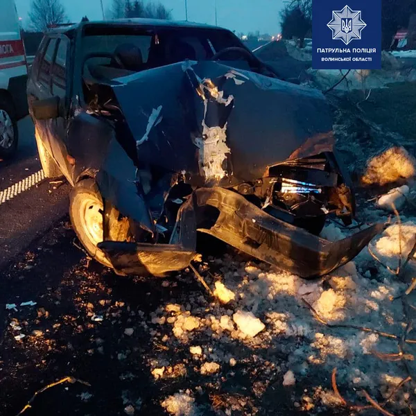Заснув за кермом: у Піддубцях авто влетіло в дерево (фото)