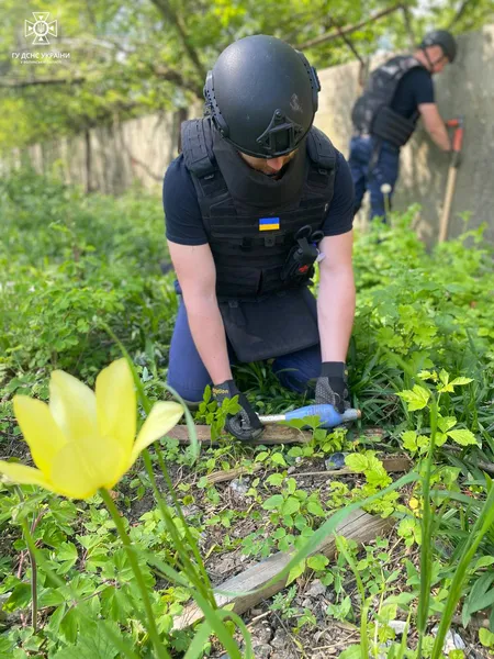 На Донеччині волинські піротехніки майже за тиждень вилучили понад 300 боєприпасів (фото)