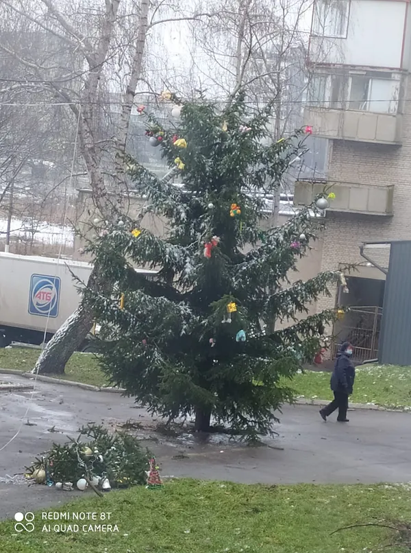 Повішені зайці на ялинці з протезом: у Нововолинську «вистраждали» новорічне дерево (фото, відео)
