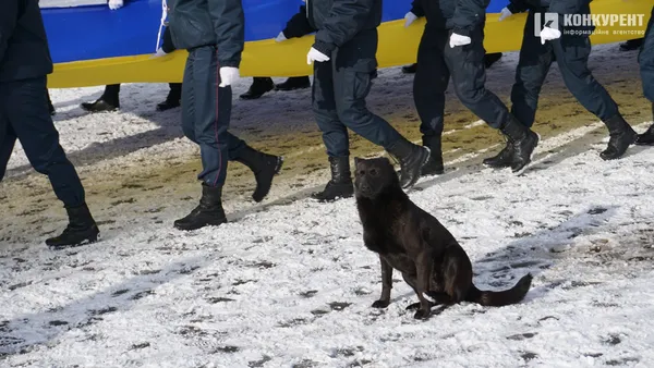 Свято єднання: у Луцьку розгорнули довжелезний стяг у День Соборності (фото, відео)