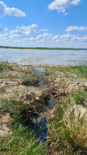 «Брудна, мутна та зелена», – Іван Мирка про воду на Світязі (фото)