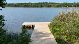 У воді – багато мінералів: на Волині є озеро, в якому повно риби (фото)