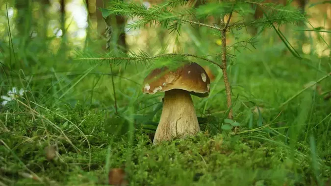 Фото ілюстративне
