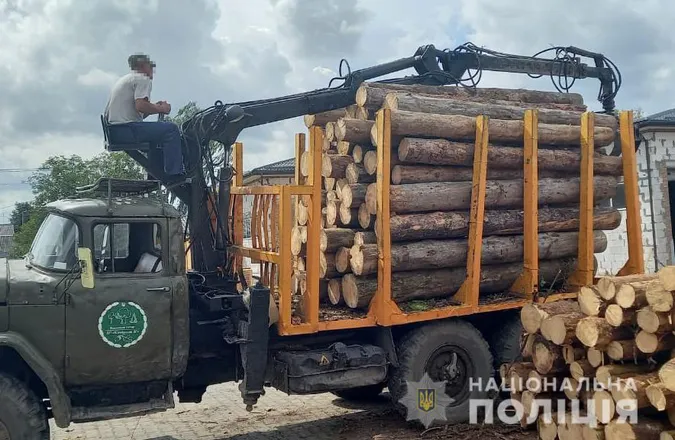 На пилорамі в Колках знайшли 15 «кубів» незаконної деревини (фото, відео)