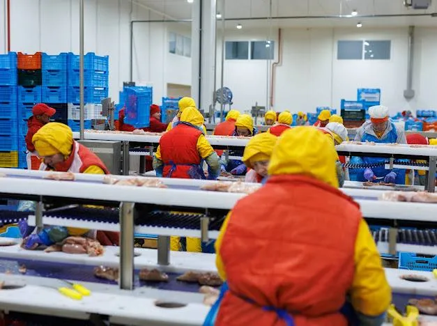 На Волині відкрили новий завод з перероблення курятини за 60 млн євро