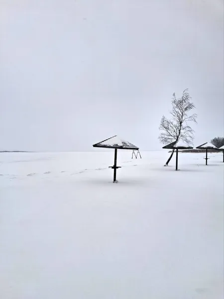 Космічні краєвиди: зима огорнула Світязь у білосніжну ковдру (фото)