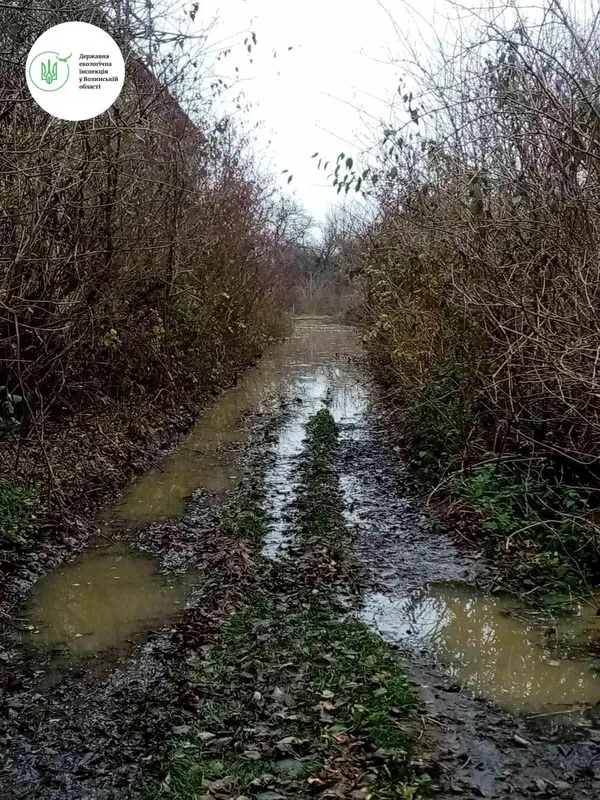 На Волині у річку виливають стічні води з місцевих полів (фото)
