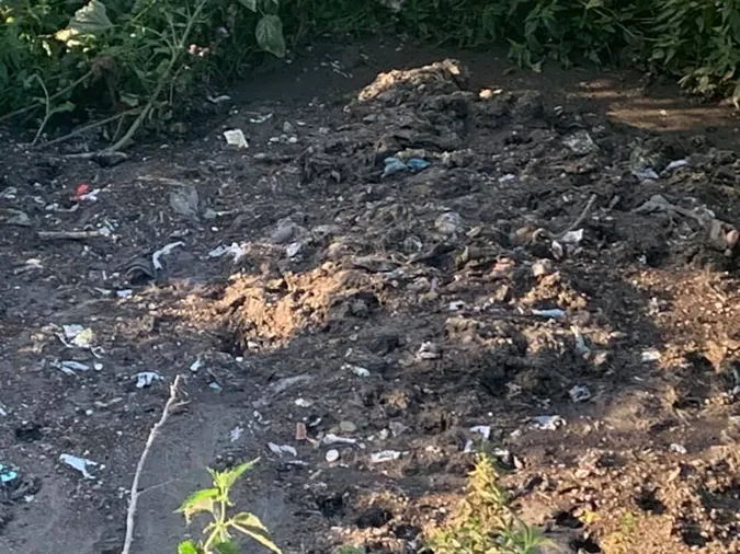 За 5 метрів від дороги: у Липлянах водій незаконно зливав фекалії (фото)