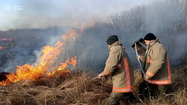 Вогняні стовпи в заплаві Прип'яті: на Волині майже півтори доби гасили масштабну пожежу (фото)