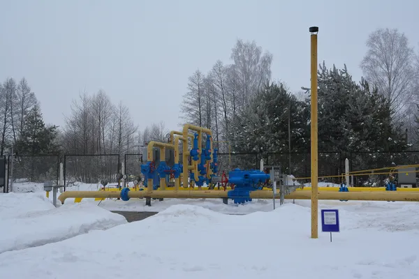 Розбавляють чи ні: який газ насправді транспортують споживачам на Волині (фоторепортаж)