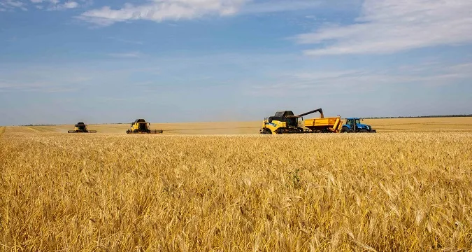 Жнива 2023: аграрії Волині уже зібрали 75% посівів пшениці