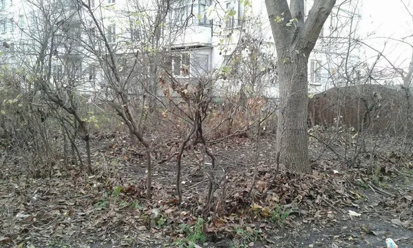 Муніципали продовжують зносити саморобні паркани у Луцьку (фото)