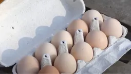 На луцькому ринку значно впали ціни на продукти: що здешевшало (відео)
