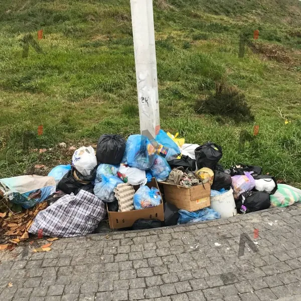 Лучани скидають сміття просто під замком: чому так роблять (фото)