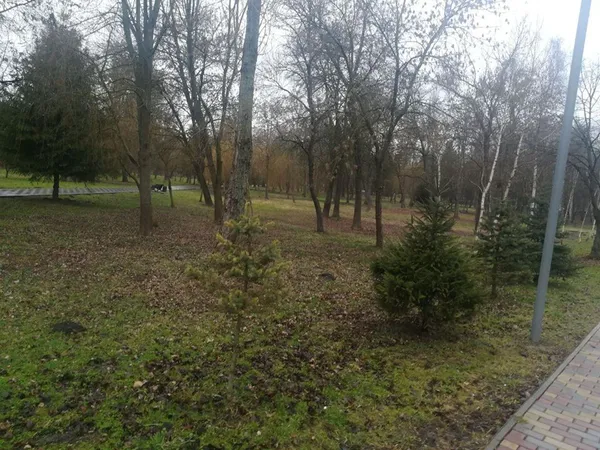 Після скандалу з наркотиками у Луцьку посилили піші патрулювання (фото)