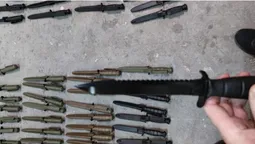 У «Ягодині» затримали партію бойових ножів Glock (фото)