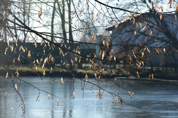 Сонні і кумедні: весняний січень у Луцькому зоопарку (фото)