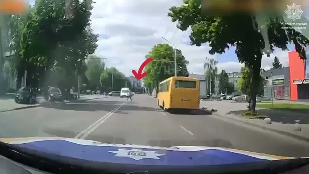 У Луцьку «безсмертний» пішохід перейшов дорогу патрульним (відео)