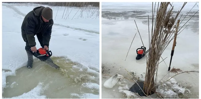 Колаж із фото Шацького національного природного парку