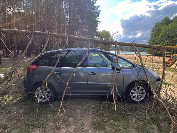 У селі на Волині дерево впало на легковик: на місце викликали рятувальників (фото)