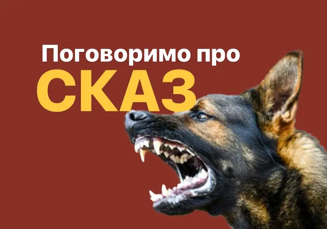 Якщо вкусила скажена (і не тільки) тварина: поради луцьких лікарів