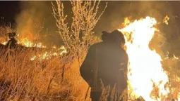 На Волині вогонь випалив 34 гектари сухої трави, чагарників та очерету (фото)