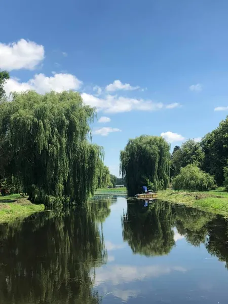 У луцькому парку чистять канали машиною-амфібією (фото)