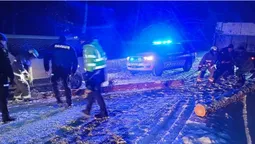 На Волині авто застрягло на поваленому негодою дереві (фото)