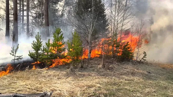 Увага: на Волині оголосили найвищий клас пожежної небезпеки
