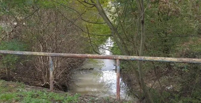У центрі Луцька зникли великі тополі: що коїться