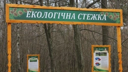 У Звірівському лісництві  з'явилась екологічна стежка,  на якій можна зустріти диких тварин (фото)