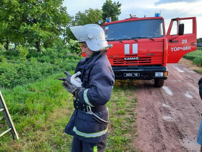 У Луцькому районі врятували лелеченя, яке випало з гнізда (фото)