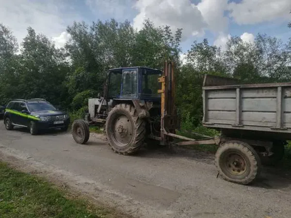 На Волині фотопастка спіймала крадіїв дуба (фото)