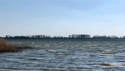 Море серед лісу: волинські морські краєвиди закохують мережу (фото)