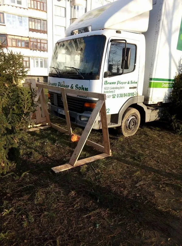 У Луцьку продавці ялинок знищують зелені зони (фото)