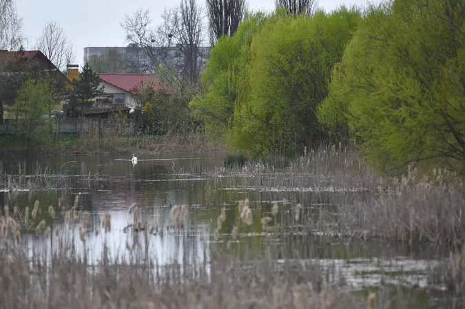Безлюдно і весняно: луцький фотограф поділився світлинами міста і околиць