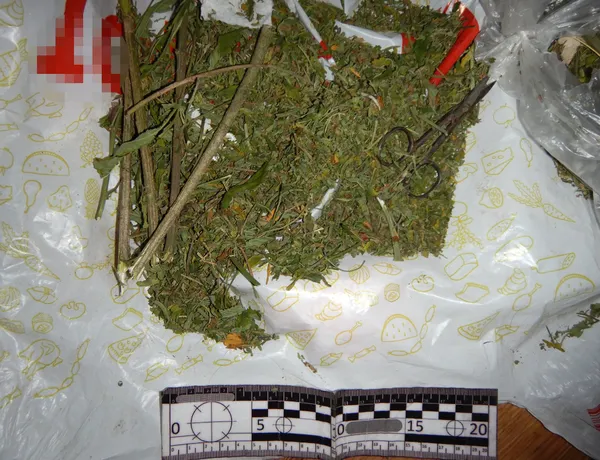 Альфа-PVP, амфетамін, канабіс: у чотирьох волинян знайшли наркотики (фото)