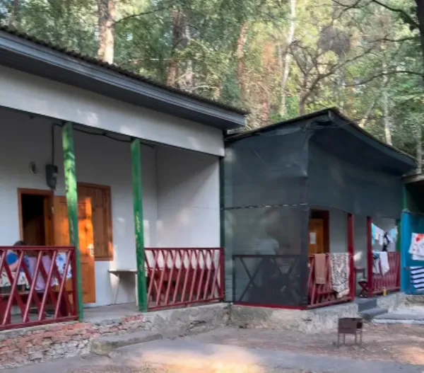 Сосновий ліс і чисті пляжі: біля Луцька є ідеальне місце відпочинку, де мало людей і багато риби (відео)