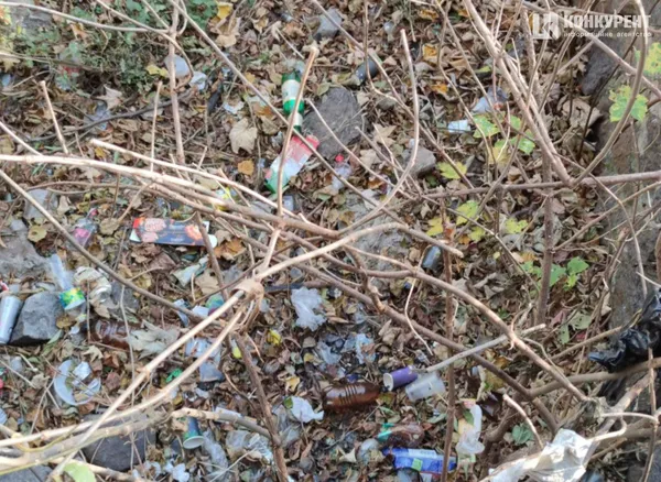 Без пияків, пляшок та шприців: як може змінитись частина берегу Сапалаївки (фото)