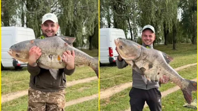 На Ковельському водосховищі рибалки спіймали гігантського товстолоба