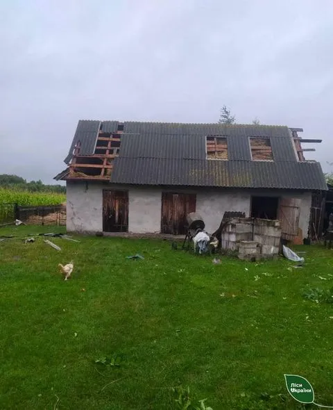Поламані, як сірники, дерева: буревій пошкодив майже 5 тисяч га лісу на Камінь-Каширщині (фото)