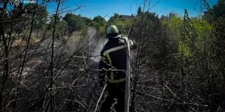 Палала суха трава і стерня: на Волині за добу ліквідували чотири пожежі (фото)