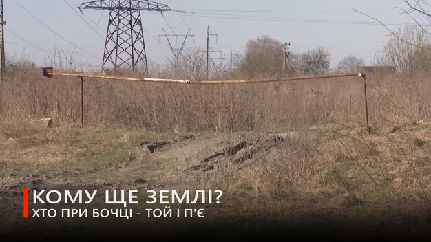 Для «Алєга й Сані» земля – за копійки: аукціон небаченої щедрості від луцької мерії (відео)