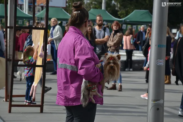 «Мокрі носики»: у Луцьку котики й собаки шукають господарів (ФОТО)