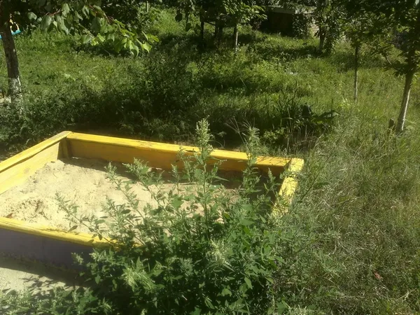 Луцькі муніципали «насварили» ОСББ за некошену траву 