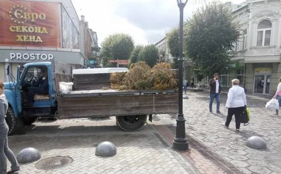 На Лесі Українки замінять зів'ялі кущі