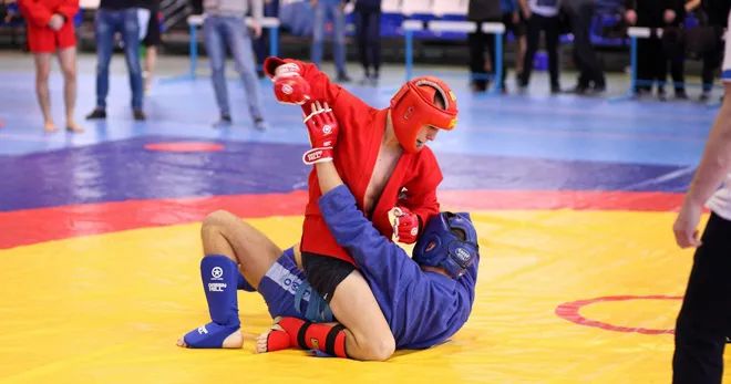 Волинські спортсмени вибороли кубок України з бойового самбо