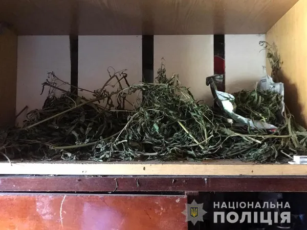 Мак, шприци, конопляний пакунок на зону: наркотичний улов поліції Волині за добу (ФОТО)