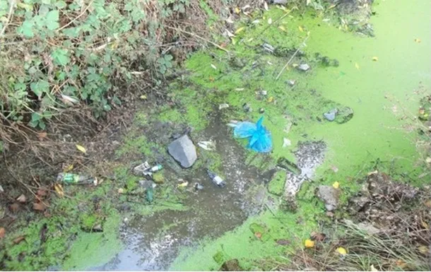 В Україні майже немає чистих водойм