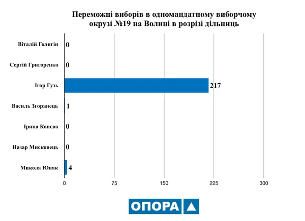 Результати виборів на Волині: жодна політична партія не перемогли на усіх дільницях